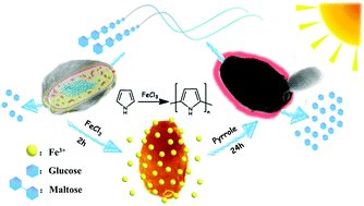 Graphical abstract: Solar activation of fungus coated in photothermal cloth