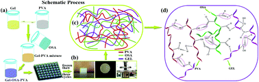 Graphical abstract: Ternary hydrogels with tunable mechanical and self-healing properties based on the synergistic effects of multiple dynamic  bonds