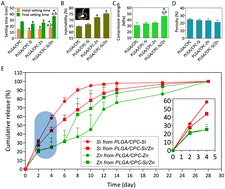 Graphical abstract: Integrating silicon/zinc dual elements with PLGA microspheres in calcium phosphate cement scaffolds synergistically enhances bone regeneration