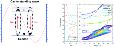 Graphical abstract: Molecularly isolated perylene diimides enable both strong exciton–photon coupling and high photoluminescence quantum yield