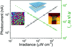 Graphical abstract: 2D perovskite microsheets for high-performance photodetectors