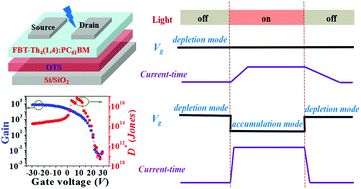 Graphical abstract: Ultrahigh photosensitive organic phototransistors by photoelectric dual control