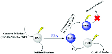 Graphical abstract: Indicator/catalyst displacement assay: design of a latent catalyst for the selective detection and degradation of cyanide by Prussian blue analog-modified TiO2 nanoparticles