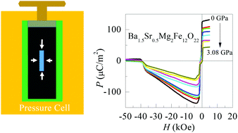 Graphical abstract: Pressure effect on spin-driven multiferroicity in a Y-type hexaferrite