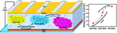 Graphical abstract: Significant enhancement of responsivity of organic photodetectors upon molecular engineering