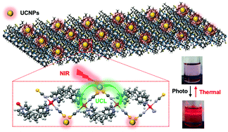 Graphical abstract: Ultrathin two-dimensional nanosheets meet upconverting nanoparticles: in situ near-infrared triggered molecular switching