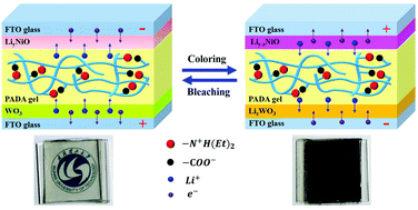 Graphical abstract: A novel ionically crosslinked gel polymer electrolyte as an ion transport layer for high-performance electrochromic devices