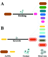 Graphical abstract: Gold nanorod etching-based multicolorimetric sensors: strategies and applications