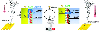 Graphical abstract: Reversible switching of the Au(111) work function by near infrared irradiation with a bistable SAM based on a radical donor–acceptor dyad