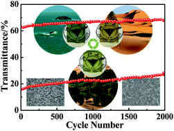 Graphical abstract: A multicolor electrochromic film based on a SnO2/V2O5 core/shell structure for adaptive camouflage