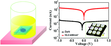 Graphical abstract: Single-crystalline lead halide perovskite wafers for high performance photodetectors