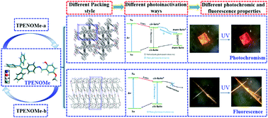 Graphical abstract: A new tetraphenylethene-based Schiff base: two crystalline polymorphs exhibiting totally different photochromic and fluorescence properties