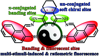 Graphical abstract: Smart, chiral, and nonconjugated cyclohexane-based bis-salicylaldehyde hydrazides: multi-stimuli-responsive, turn-on, ratiometric, and thermochromic fluorescence, single-crystal structures via DFT calculations