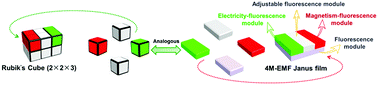 Graphical abstract: Modularization design philosophy for multifunctional materials: a case study of a Janus film affording concurrent electrically conductive anisotropic-magnetic-fluorescent multifunctionality