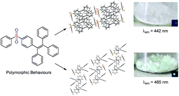 Graphical abstract: Regulation of aggregation-induced emission behaviours and mechanofluorochromism of tetraphenylethene through different oxidation states of sulphur moieties