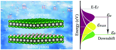 Graphical abstract: Tungsten boride: a 2D multiple Dirac semimetal for the hydrogen evolution reaction