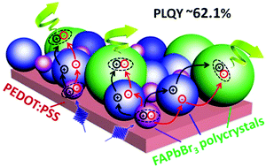 Graphical abstract: Poly(ethylene oxide)-assisted energy funneling for efficient perovskite light emission