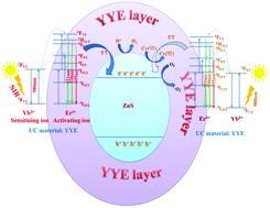 Graphical abstract: Advances towards the utilization of Vis-NIR light energy by coating YF3:Yb3+,Er3+ over ZnS microspheres triggering hydrogen production and pollutants disposal