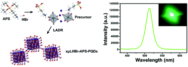 Graphical abstract: Synthesis of CsPbBr3 perovskite nanocrystals with the sole ligand of protonated (3-aminopropyl)triethoxysilane