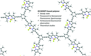 Graphical abstract: Optical characterization of a two-dimensional BODIPY-based polymer material and its related chromophores