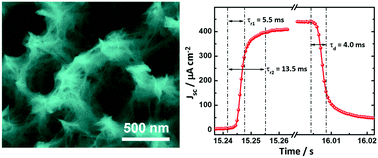 Graphical abstract: Rutile TiO2 nanowire arrays interconnected with ZnO nanosheets for high performance electrochemical UV sensors