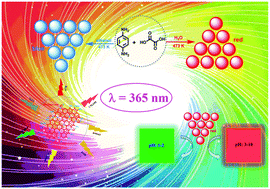 Graphical abstract: Solvent-controlled and solvent-dependent strategies for the synthesis of multicolor carbon dots for pH sensing and cell imaging