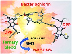 Graphical abstract: A bacteriochlorin-diketopyrrolopyrrole triad as a donor for solution-processed bulk heterojunction organic solar cells