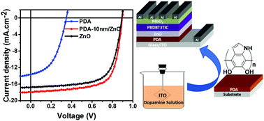 Graphical abstract: Polydopamine/ZnO electron transport layers enhance charge extraction in inverted non-fullerene organic solar cells