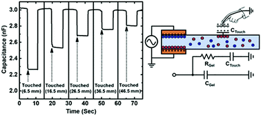 Graphical abstract: Pixel-free capacitive touch sensor using a single-layer ion gel