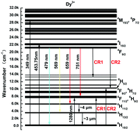 Graphical abstract: Influence of codoped Gd3+ ions on the spectroscopic site symmetry of Dy3+ ions in LaF3 single crystals