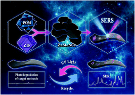 Graphical abstract: A ternary ZnO/ZnS/MoS2 composite as a reusable SERS substrate derived from the polyoxomolybdate/ZIF-8 host–guest framework