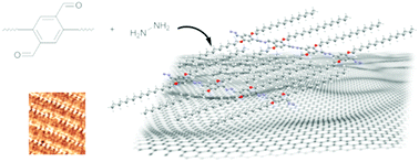 Graphical abstract: Dynamic covalent conjugated polymer epitaxy on graphene