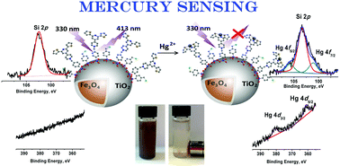 Graphical abstract: A novel material for the detection and removal of mercury(ii) based on a 2,6-bis(2-thienyl)pyridine receptor