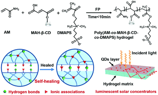 Graphical abstract: A facile synthesis of self-healing hydrogels toward flexible quantum dot-based luminescent solar concentrators and white LEDs