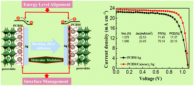 Graphical abstract: Molecular modulator for stable inverted planar perovskite solar cells with efficiency enhanced by interface engineering
