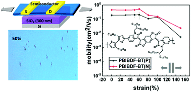 Graphical abstract: Rational molecular design for isoindigo-based polymer semiconductors with high ductility and high electrical performance