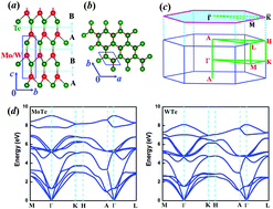 Graphical abstract: Dirac–Weyl semimetal phase in noncentrosymmetric transition metal monochalcogenides MoTe and WTe