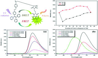 Graphical abstract: Novel side-chain alternative copolymer combined FRET and DRET with large pseudo-Stokes shift and polarity-sensitive fluorescence behavior