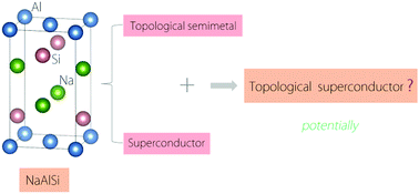 Graphical abstract: Topological nodal line state in superconducting NaAlSi compound