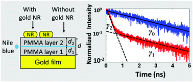 Graphical abstract: Tunable fluorescence emission of molecules with controllable positions within the metallic nanogap between gold nanorods and a gold film