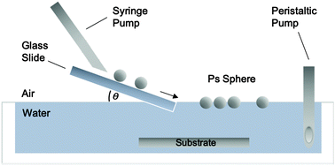 Graphical abstract: Tailoring a periodic metal nanoantenna array using low cost template-assisted lithography