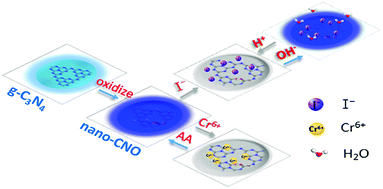 Graphical abstract: Synthesis and characterization of a multi-functional on–off–on fluorescent oxidized graphitic carbon nitride nanosensor for iodide, chromium(vi), and ascorbic acid
