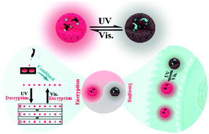 Graphical abstract: Photoswitchable ultrahigh-brightness red fluorescent polymeric nanoparticles for information encryption, anti-counterfeiting and bioimaging