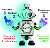 Graphical abstract: Substitution-type luminescent MOF sensor with built-in capturer for selective cholesterol detection in blood serum