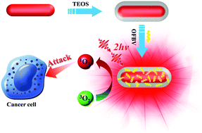 Graphical abstract: Gold nanorod-enhanced two-photon excitation fluorescence of conjugated oligomers for two-photon imaging guided photodynamic therapy