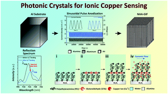Graphical abstract: Nanoporous photonic crystals with tailored surface chemistry for ionic copper sensing