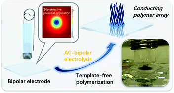 Graphical abstract: Template-free perpendicular growth of a poly(3,4-ethylenedioxythiophene) fiber array by bipolar electrolysis under an iterative potential application