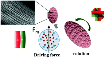 Graphical abstract: Rugby-ball-like photonic crystal supraparticles with non-close-packed structures and multiple magneto-optical responses