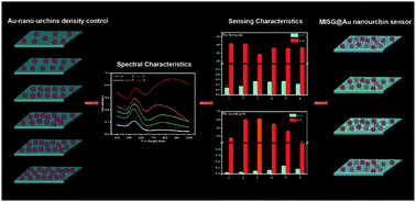 Graphical abstract: Electric-field enhancement of molecularly imprinted sol–gel-coated Au nano-urchin sensors for vapor detection of plant biomarkers