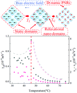 Graphical abstract: Electro-optic evolution driven by static and relaxational nano ferroelectric domains in KTa1−xNbxO3